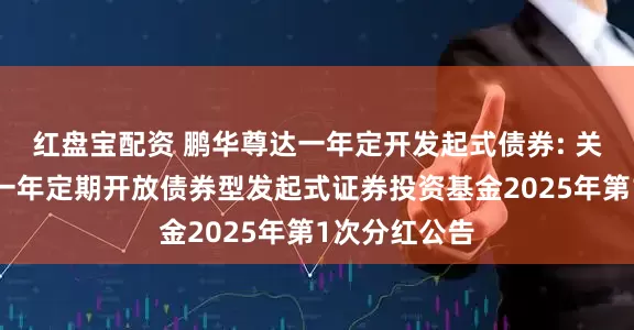 红盘宝配资 鹏华尊达一年定开发起式债券: 关于鹏华尊达一年定期开放债券型发起式证券投资基金2025年第1次分红公告