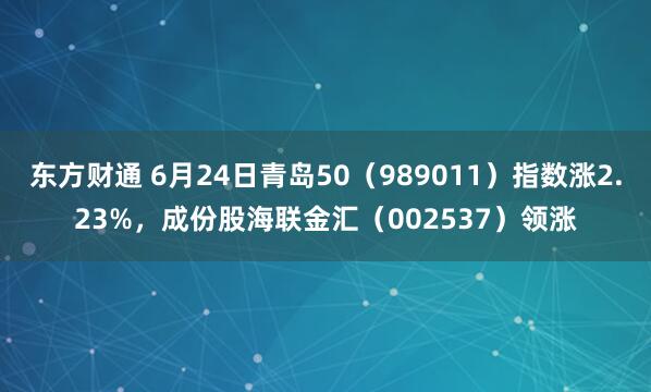 东方财通 6月24日青岛50（989011）指数涨2.23%，成份股海联金汇（002537）领涨