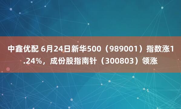 中鑫优配 6月24日新华500（989001）指数涨1.24%，成份股指南针（300803）领涨
