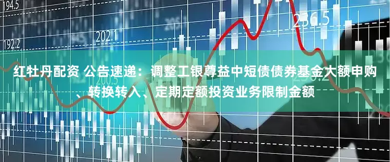 红牡丹配资 公告速递：调整工银尊益中短债债券基金大额申购、转换转入、定期定额投资业务限制金额