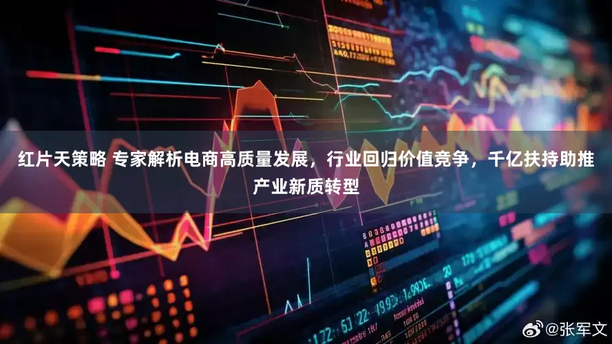 红片天策略 专家解析电商高质量发展，行业回归价值竞争，千亿扶持助推产业新质转型