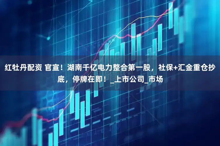 红牡丹配资 官宣！湖南千亿电力整合第一股，社保+汇金重仓抄底，停牌在即！_上市公司_市场