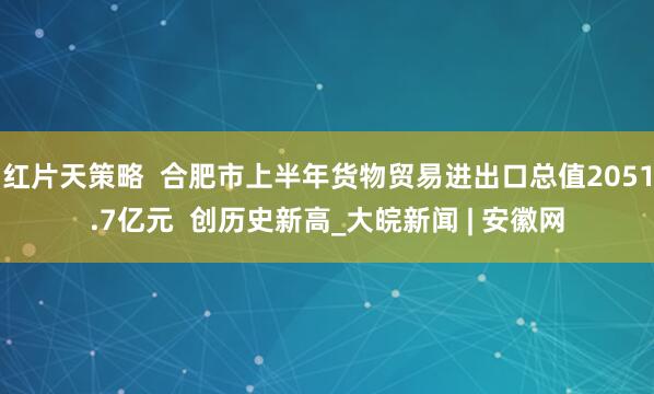 红片天策略  合肥市上半年货物贸易进出口总值2051.7亿元  创历史新高_大皖新闻 | 安徽网