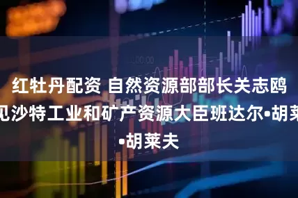 红牡丹配资 自然资源部部长关志鸥会见沙特工业和矿产资源大臣班达尔•胡莱夫